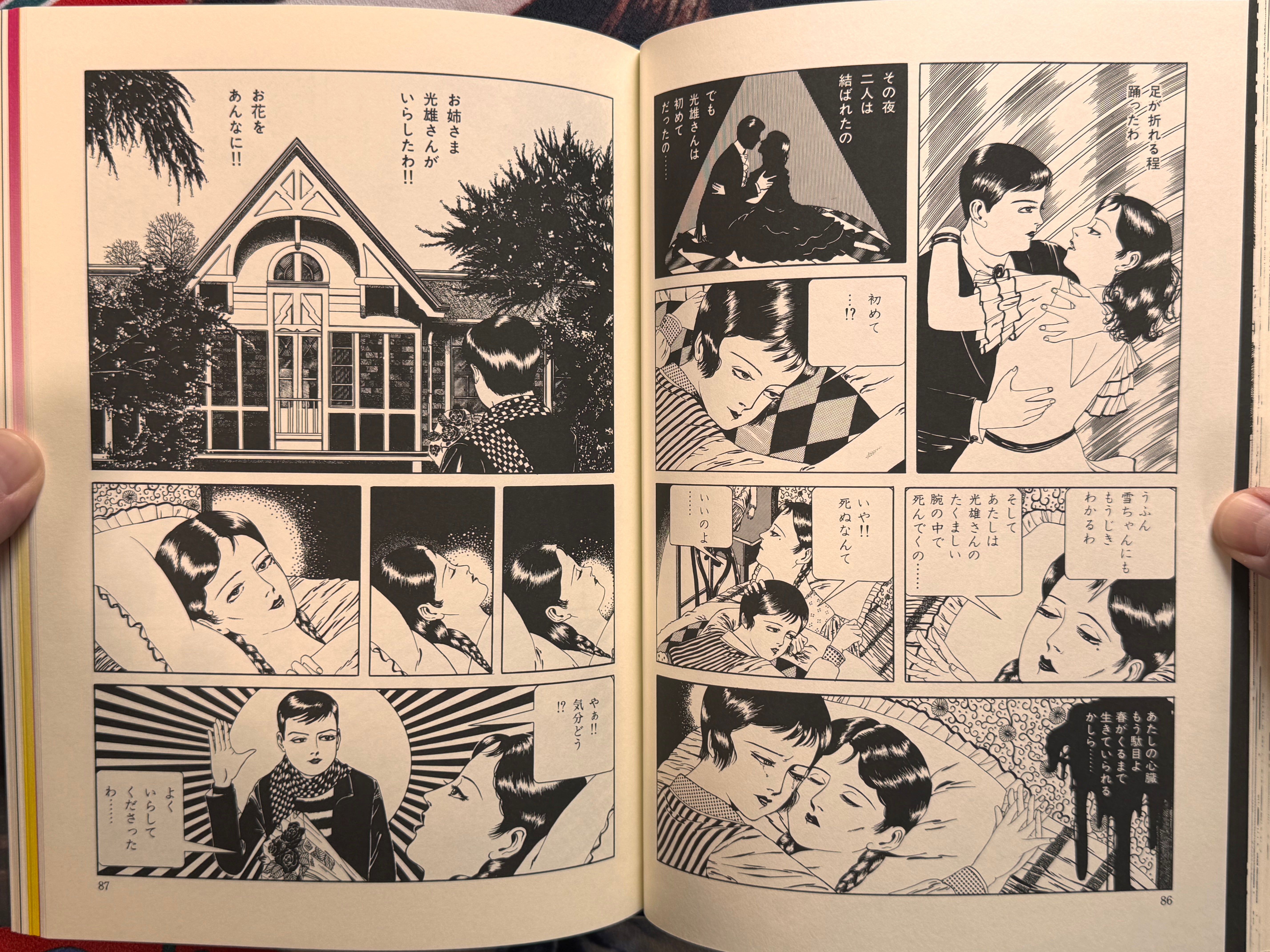 Maruo Jigoku 2 / Maruo Hell 2 (1995) - Stamped / Limited Ed. 471/1200 / Poster, Insert, Flyer Included) by Suehiro Maruo