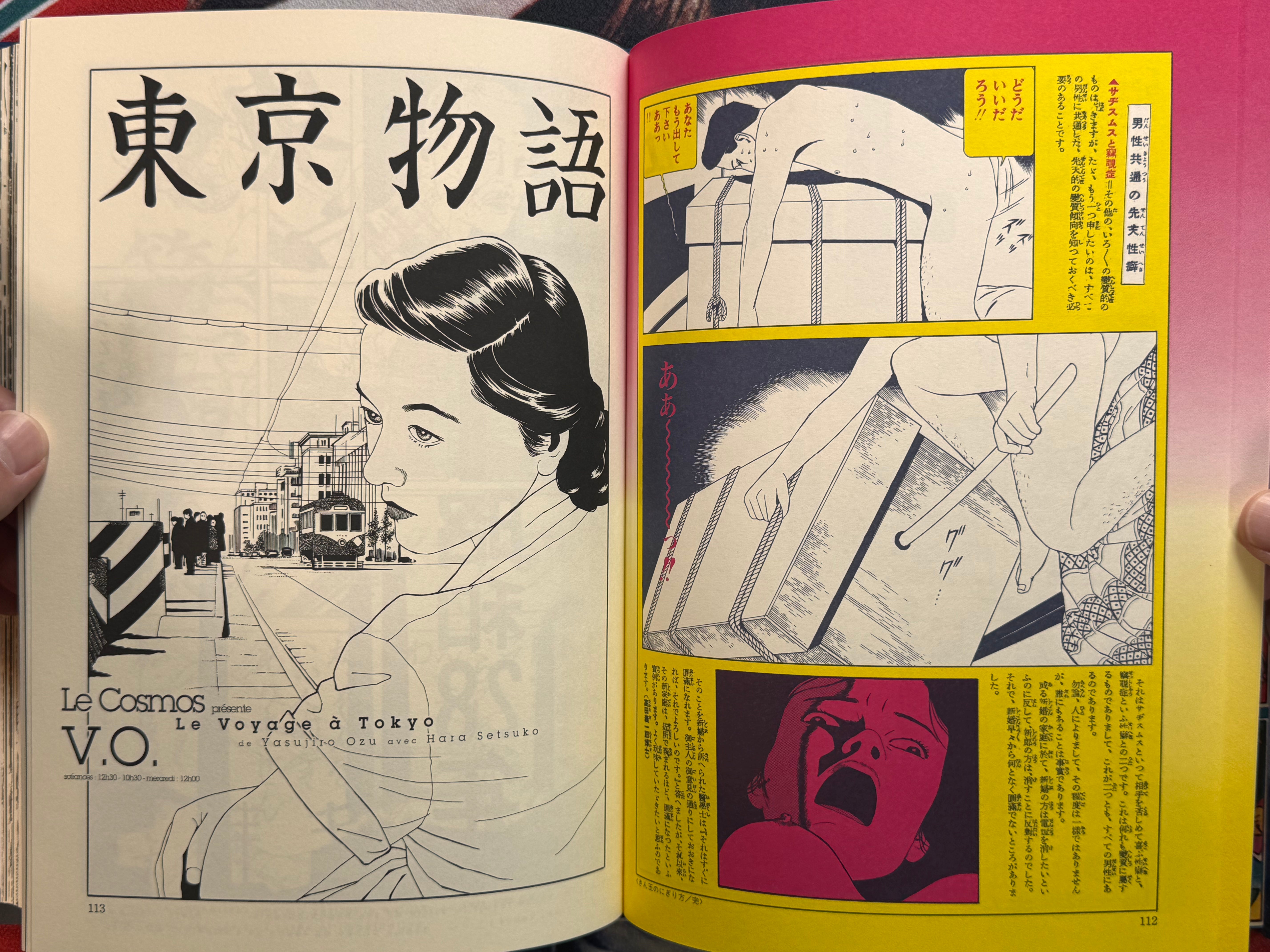Maruo Jigoku 2 / Maruo Hell 2 (1995) - Stamped / Limited Ed. 471/1200 / Poster, Insert, Flyer Included) by Suehiro Maruo