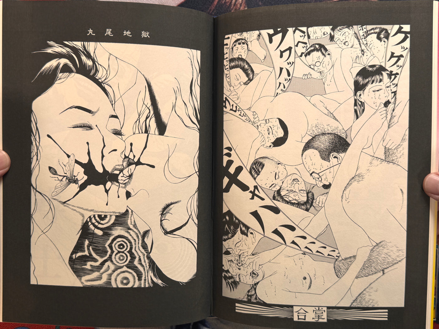 Maruo Jigoku 2 / Maruo Hell 2 (1995) - Stamped / Limited Ed. 471/1200 / Poster, Insert, Flyer Included) by Suehiro Maruo