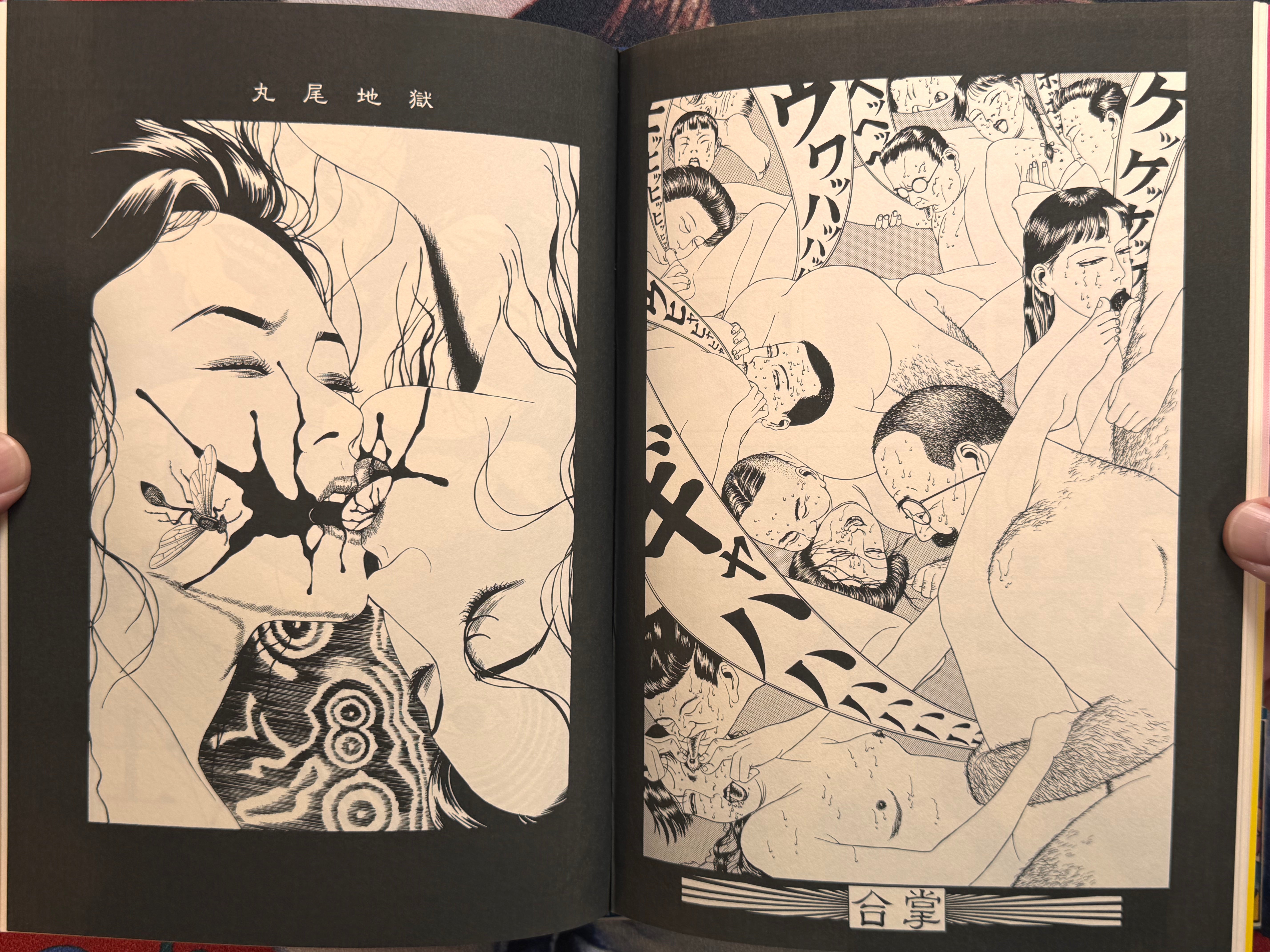 Maruo Jigoku 2 / Maruo Hell 2 (1995) - Stamped / Limited Ed. 471/1200 / Poster, Insert, Flyer Included) by Suehiro Maruo