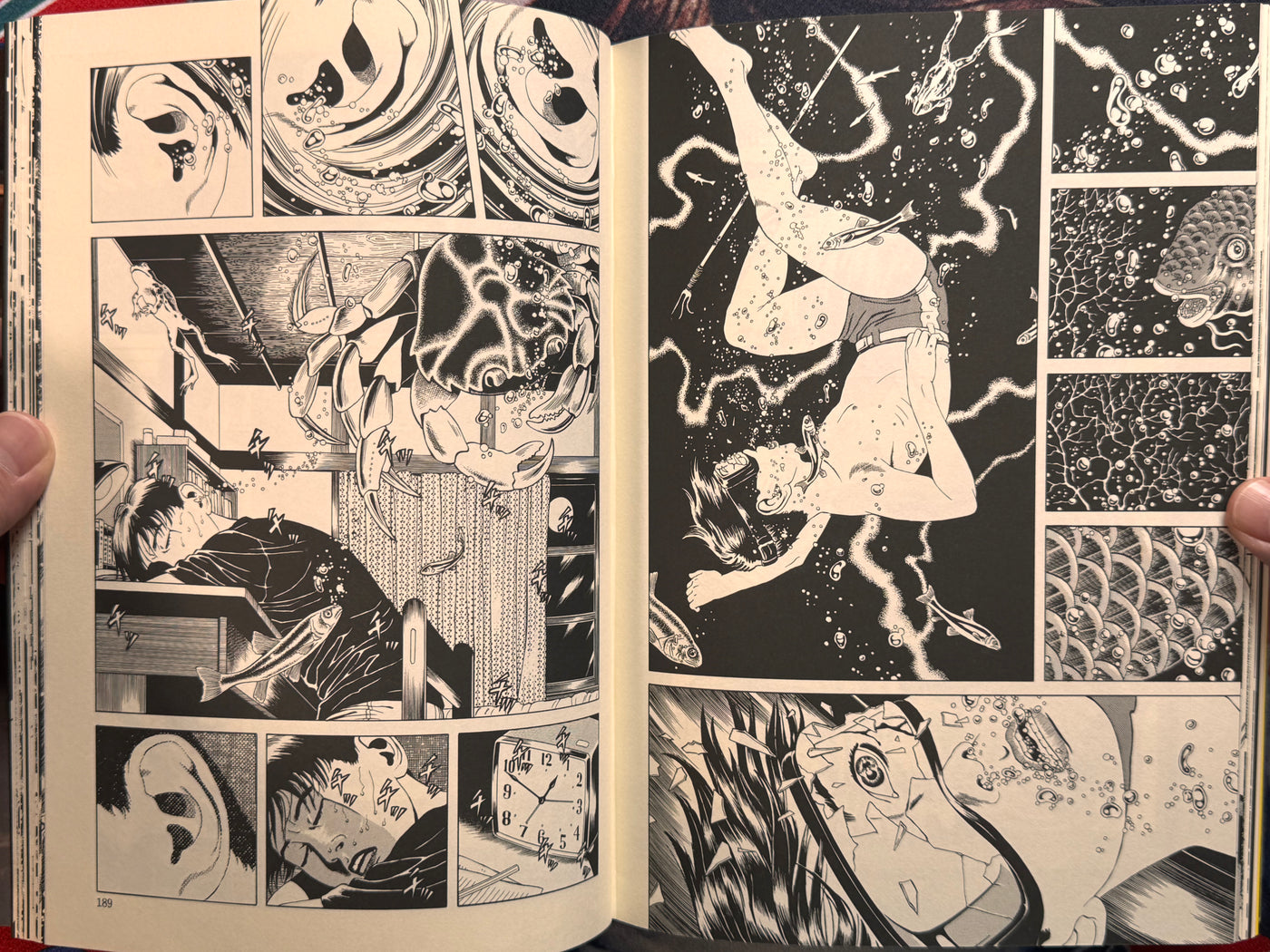 Maruo Jigoku 2 / Maruo Hell 2 (1995) - Stamped / Limited Ed. 471/1200 / Poster, Insert, Flyer Included) by Suehiro Maruo