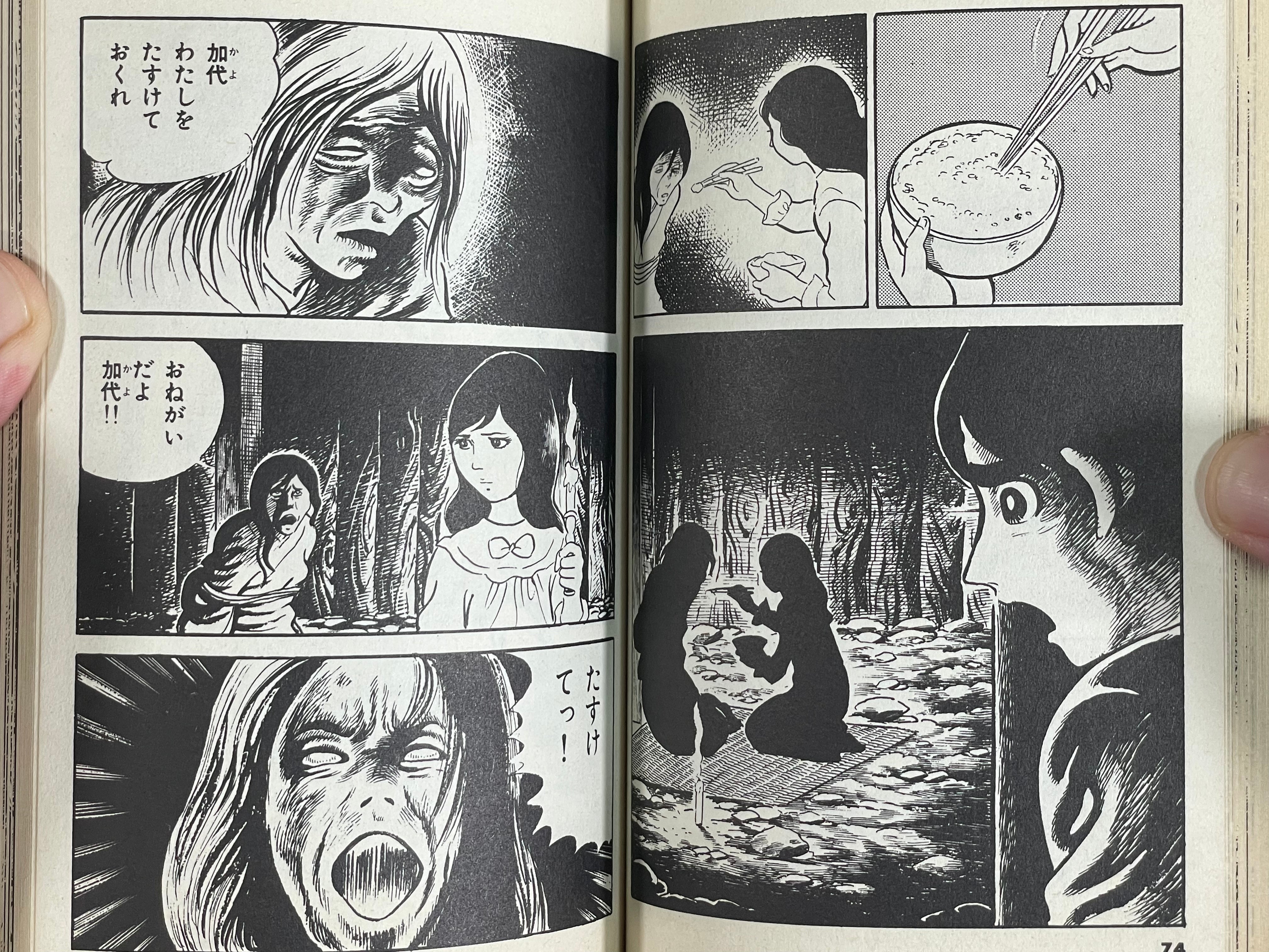 House of the Evil Spirit Fox / First Edition by Shinichi Koga (1976)