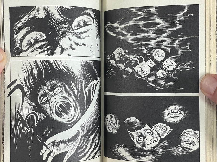 House of the Evil Spirit Fox / First Edition by Shinichi Koga (1976)