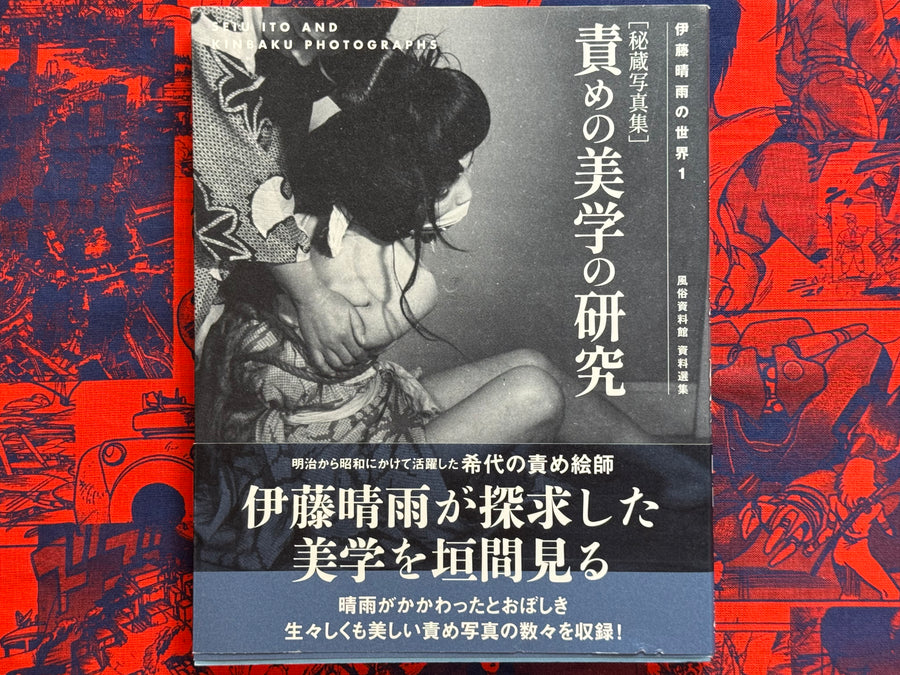 Seiu Ito and Kinbaku Photographs