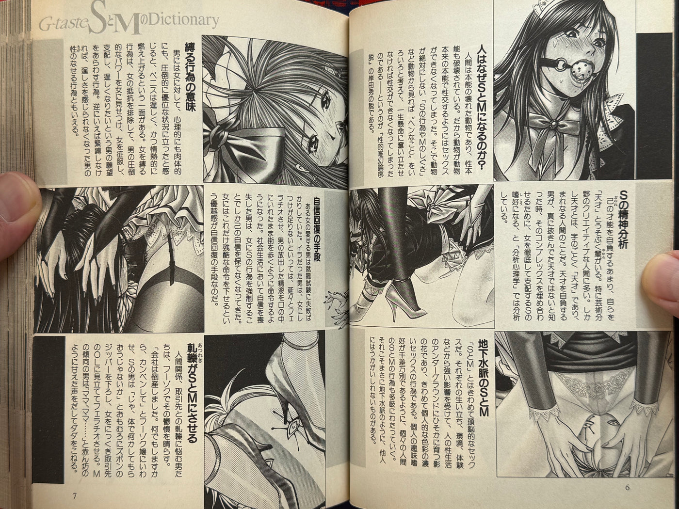 G-Taste S&M Dictionary (2001) by Hiroki Yagami