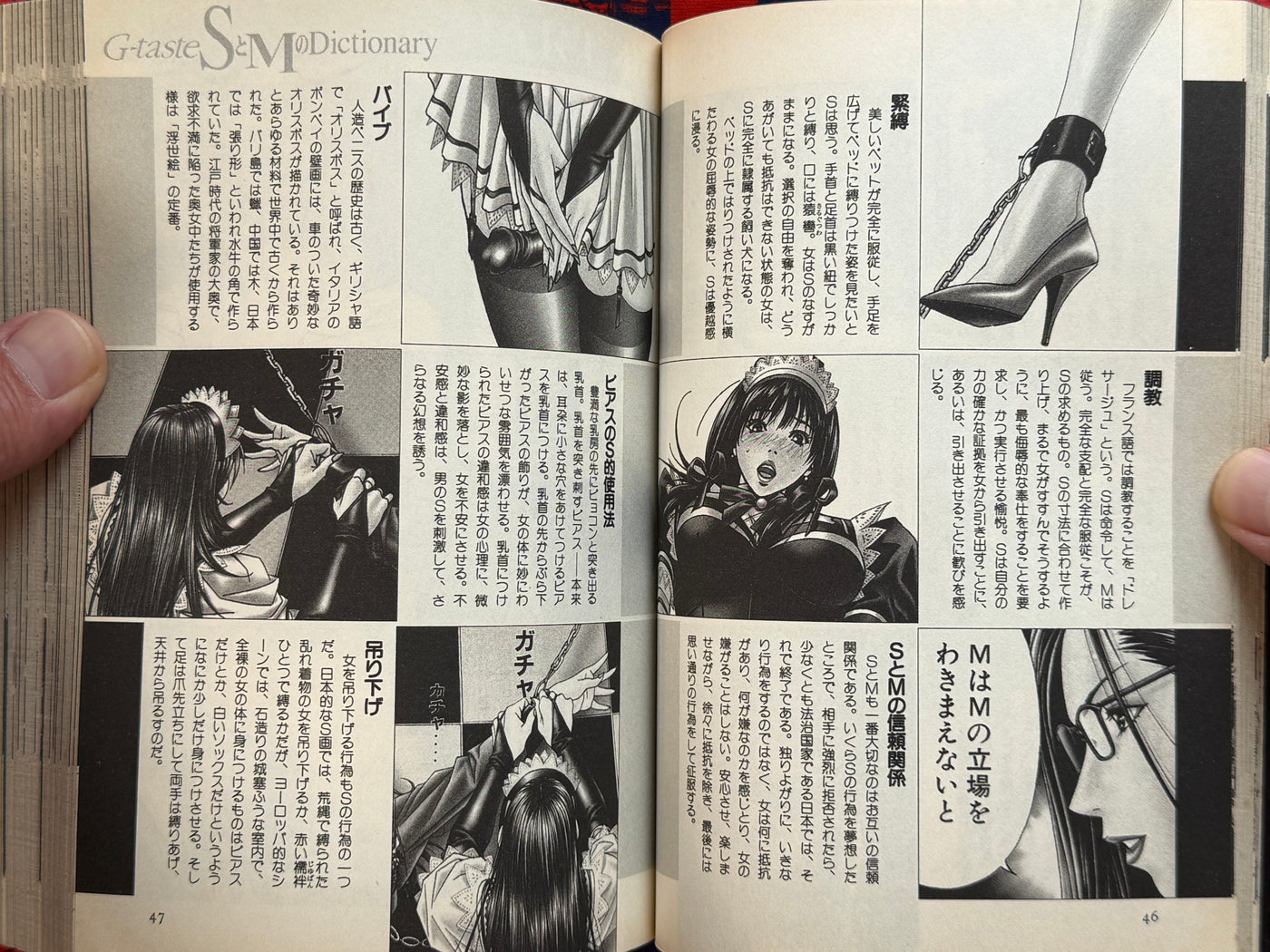 G-Taste S&M Dictionary (2001) by Hiroki Yagami