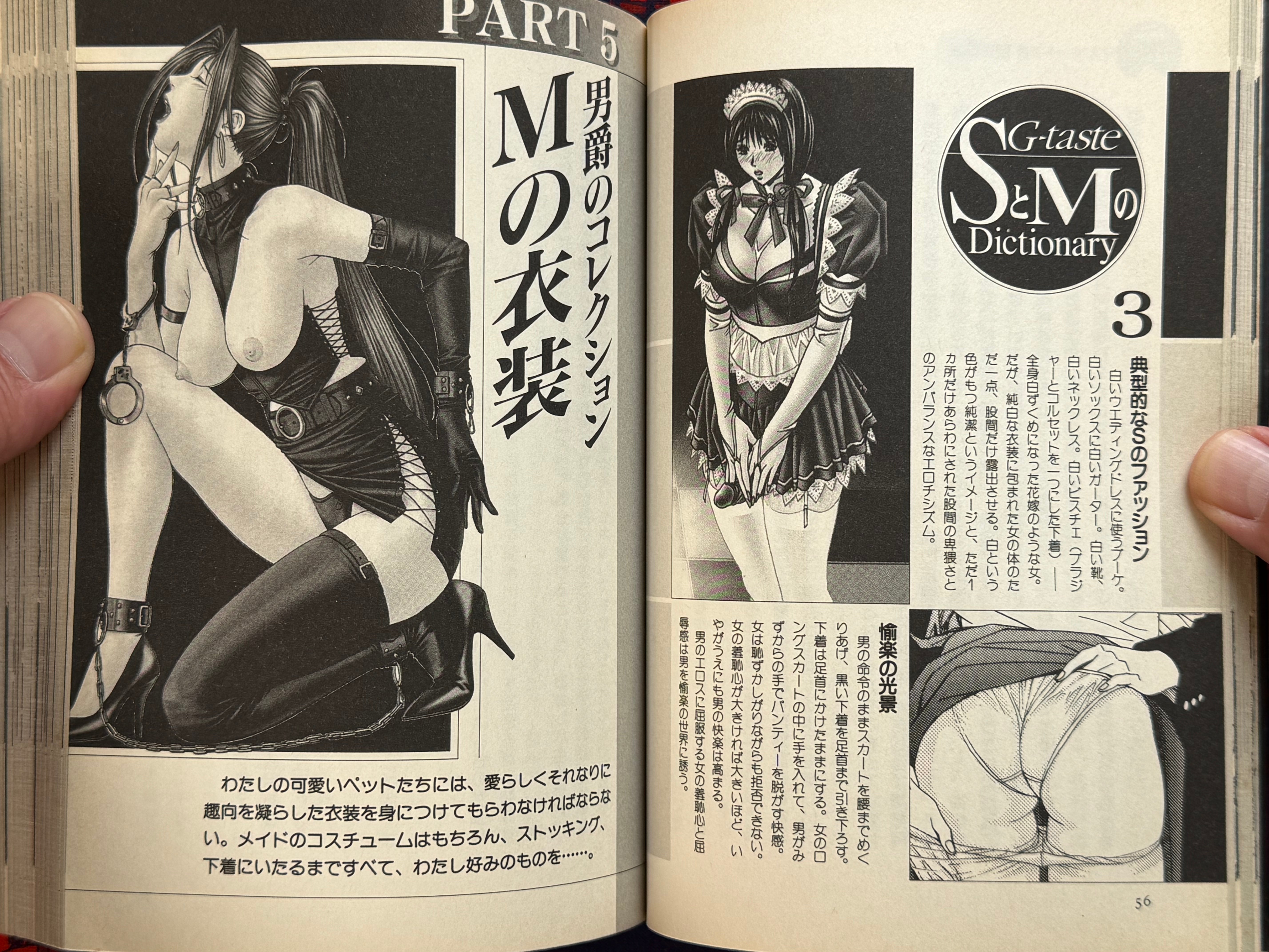 G-Taste S&M Dictionary (2001) by Hiroki Yagami