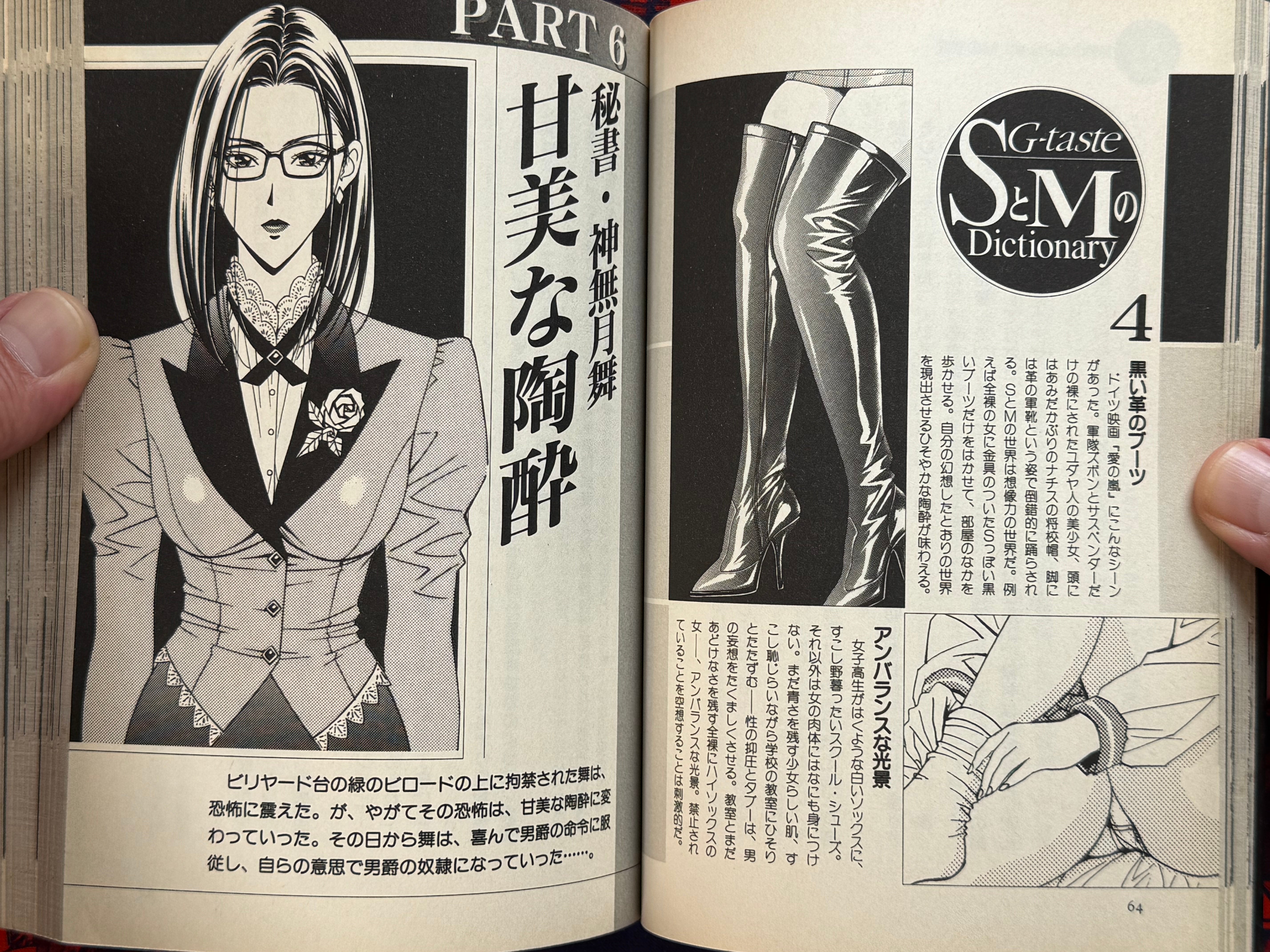 G-Taste S&M Dictionary (2001) by Hiroki Yagami