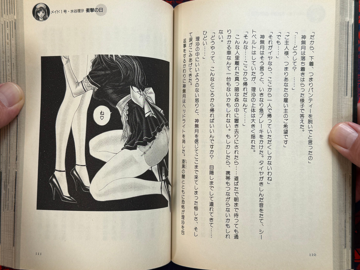 G-Taste S&M Dictionary (2001) by Hiroki Yagami
