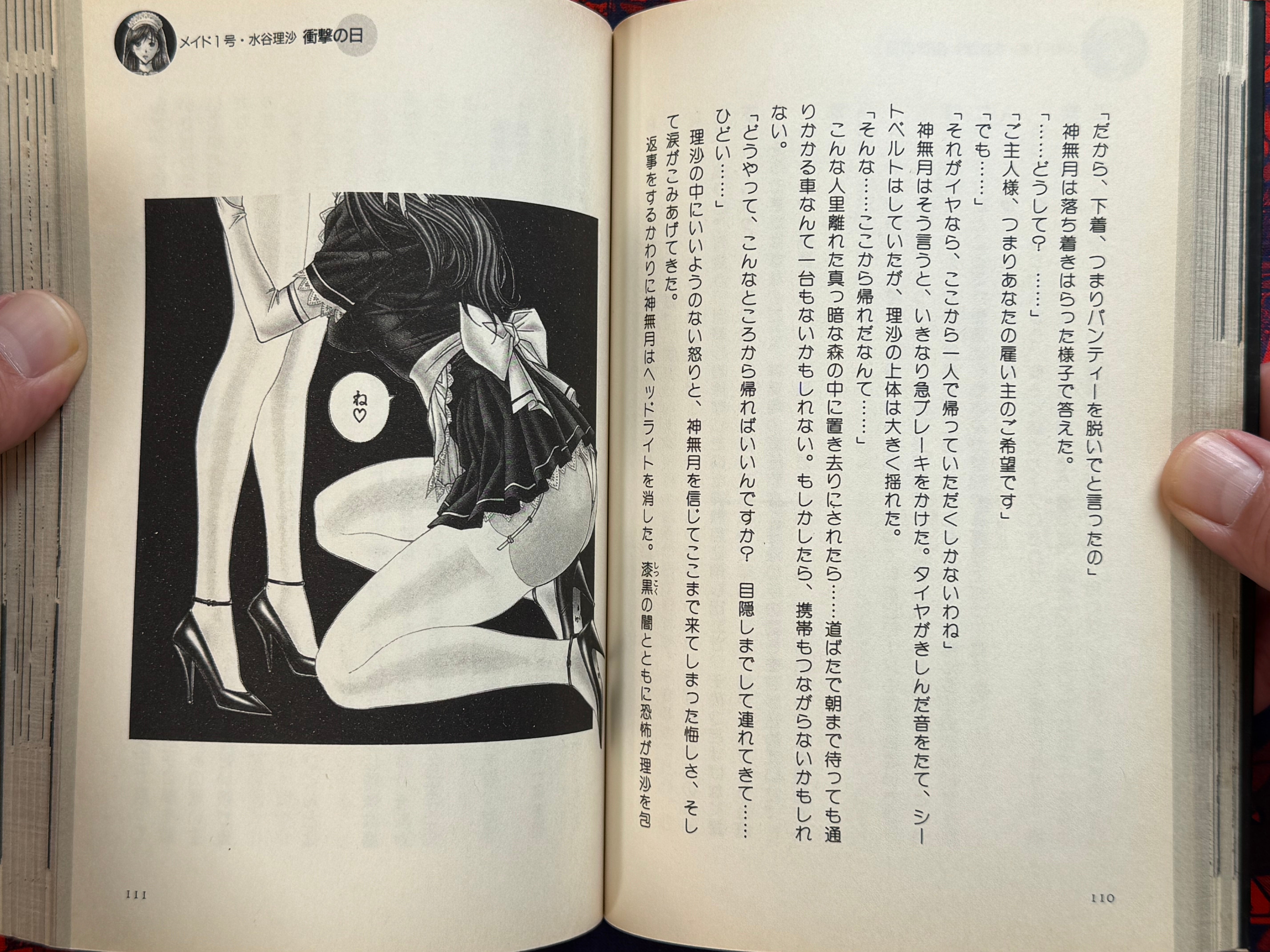 G-Taste S&M Dictionary (2001) by Hiroki Yagami