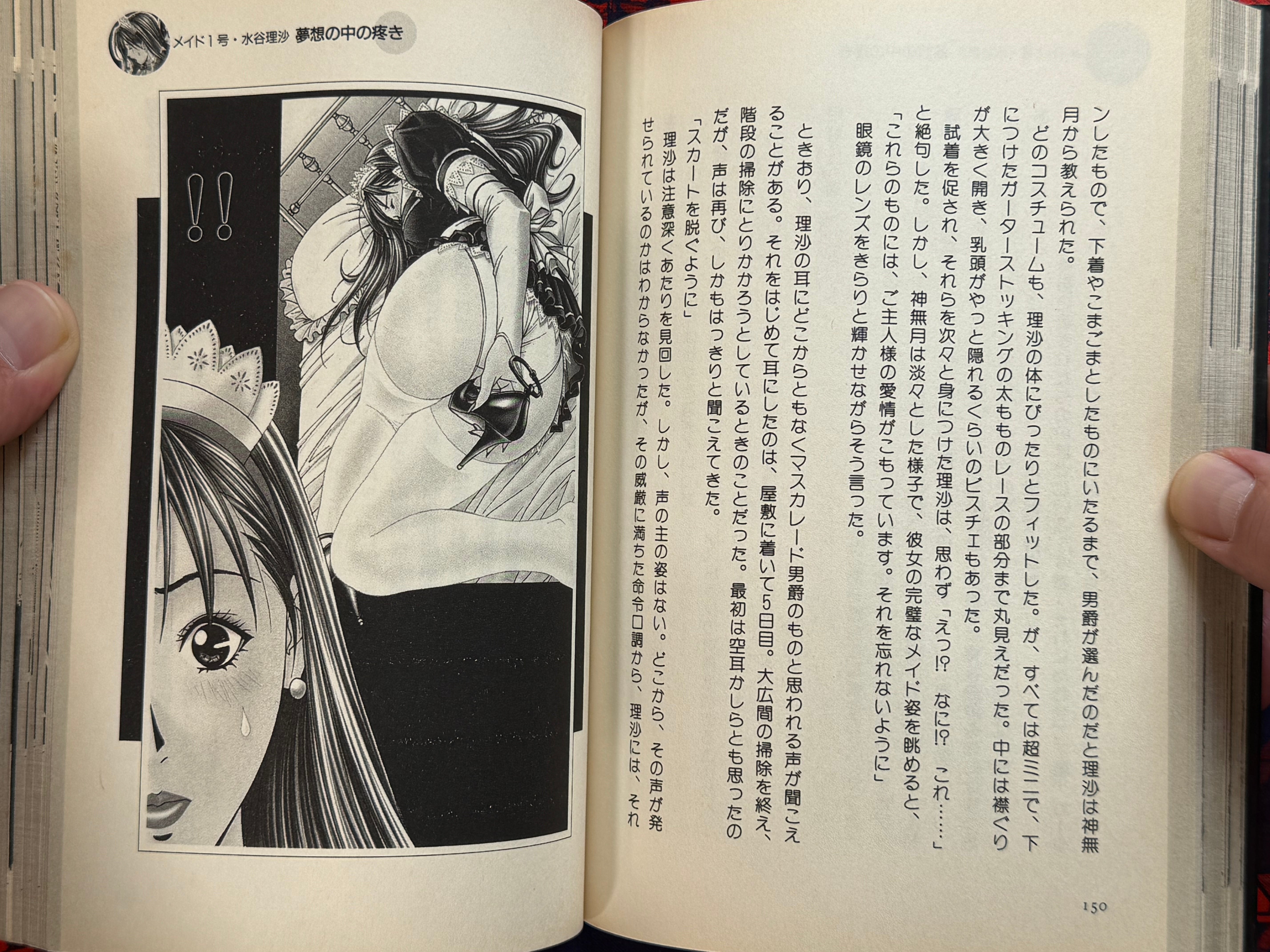 G-Taste S&M Dictionary (2001) by Hiroki Yagami