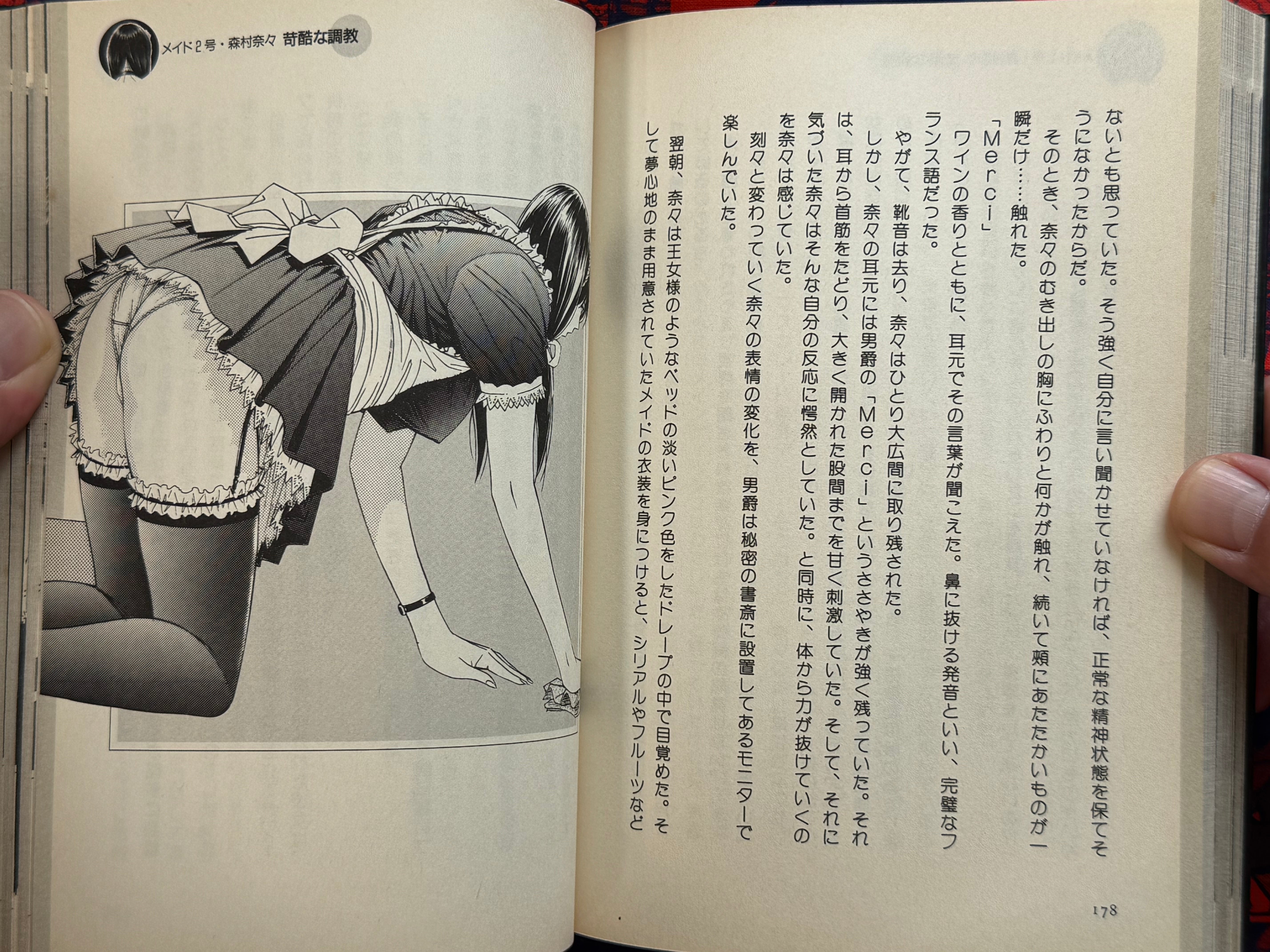 G-Taste S&M Dictionary (2001) by Hiroki Yagami