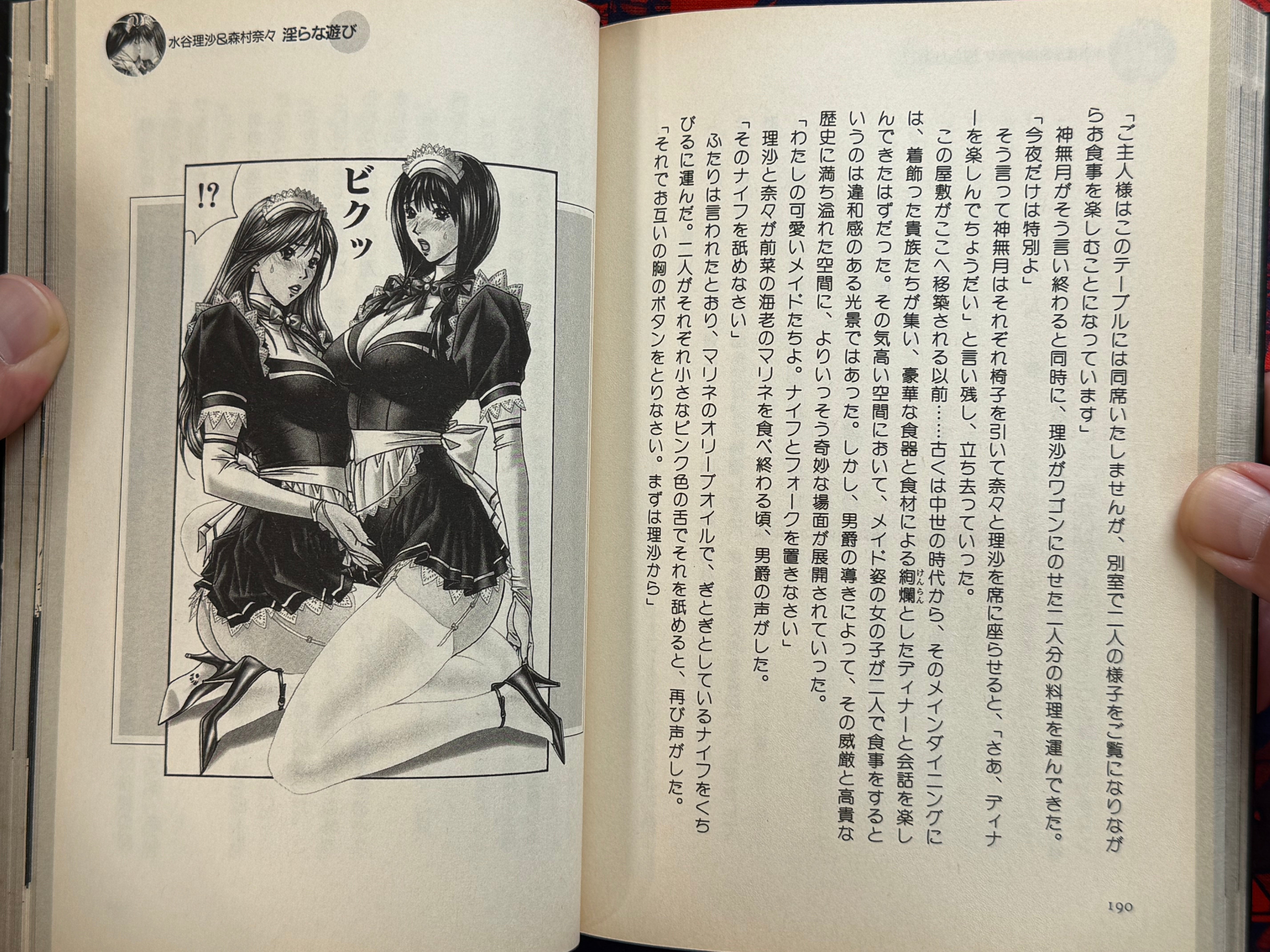 G-Taste S&M Dictionary (2001) by Hiroki Yagami