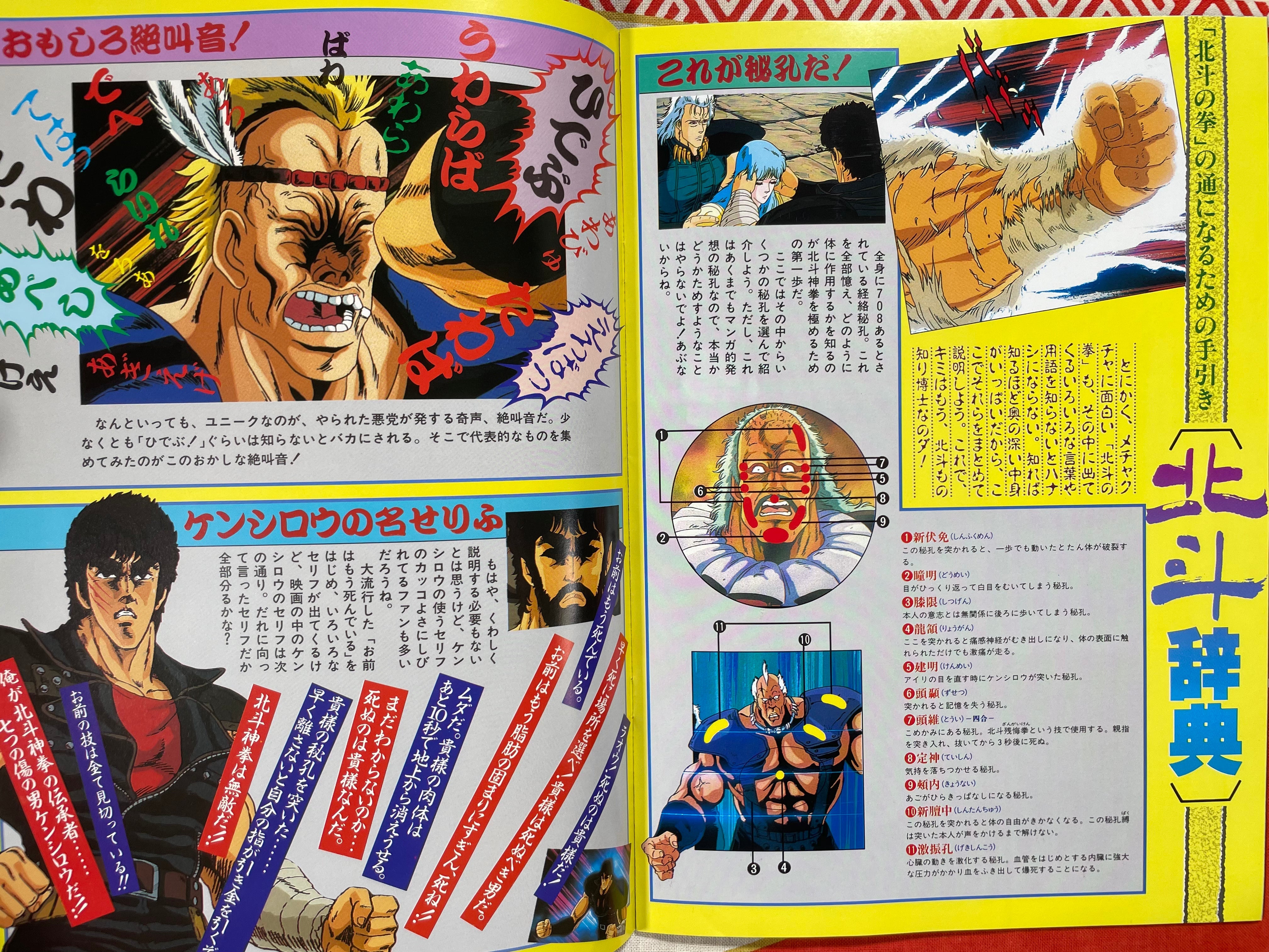 Fist of the North Star Movie Pamphlet (1986)