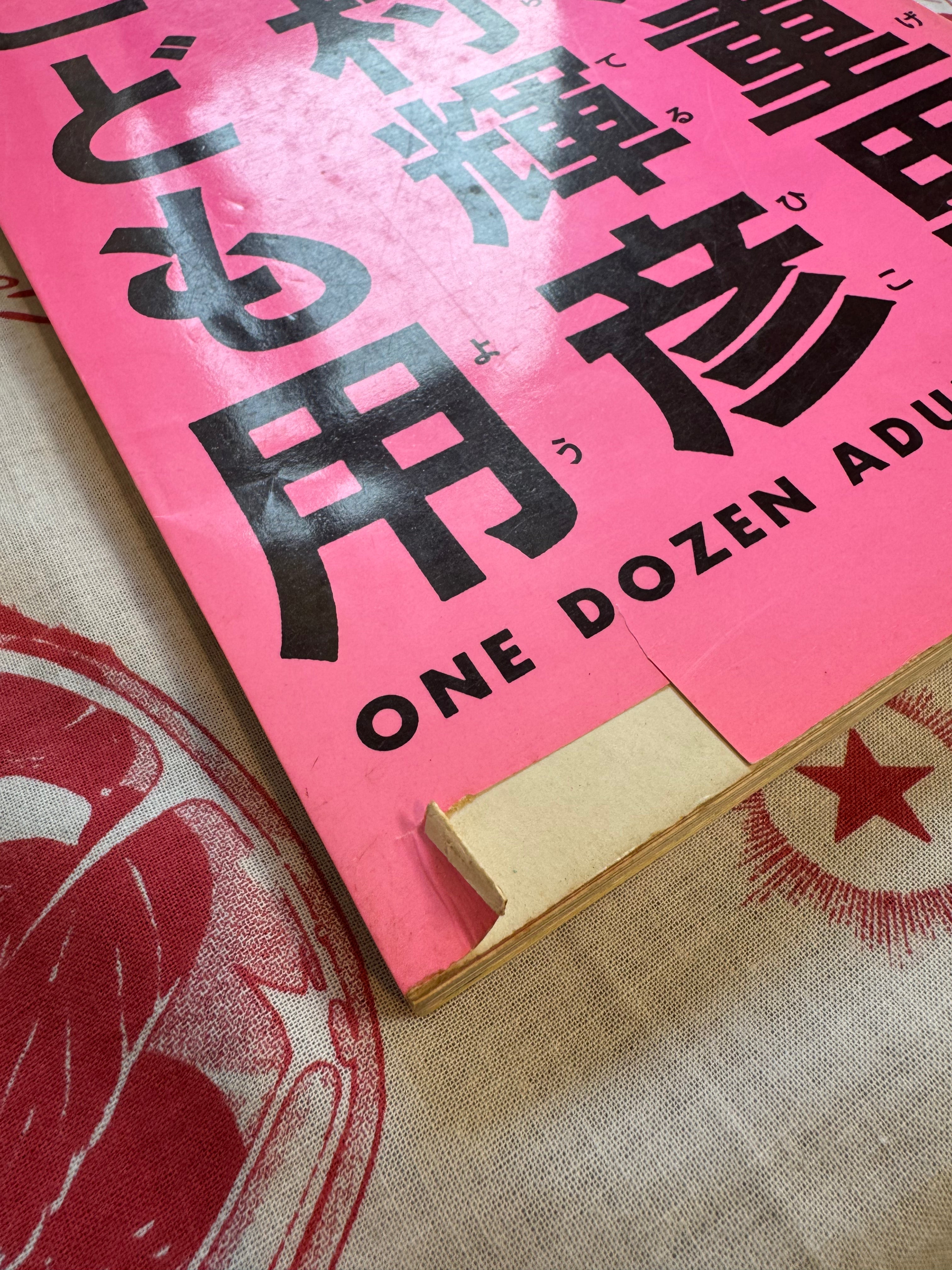 One Dozen Adult Stories by King Terry & Shigesato Itoi (1984)