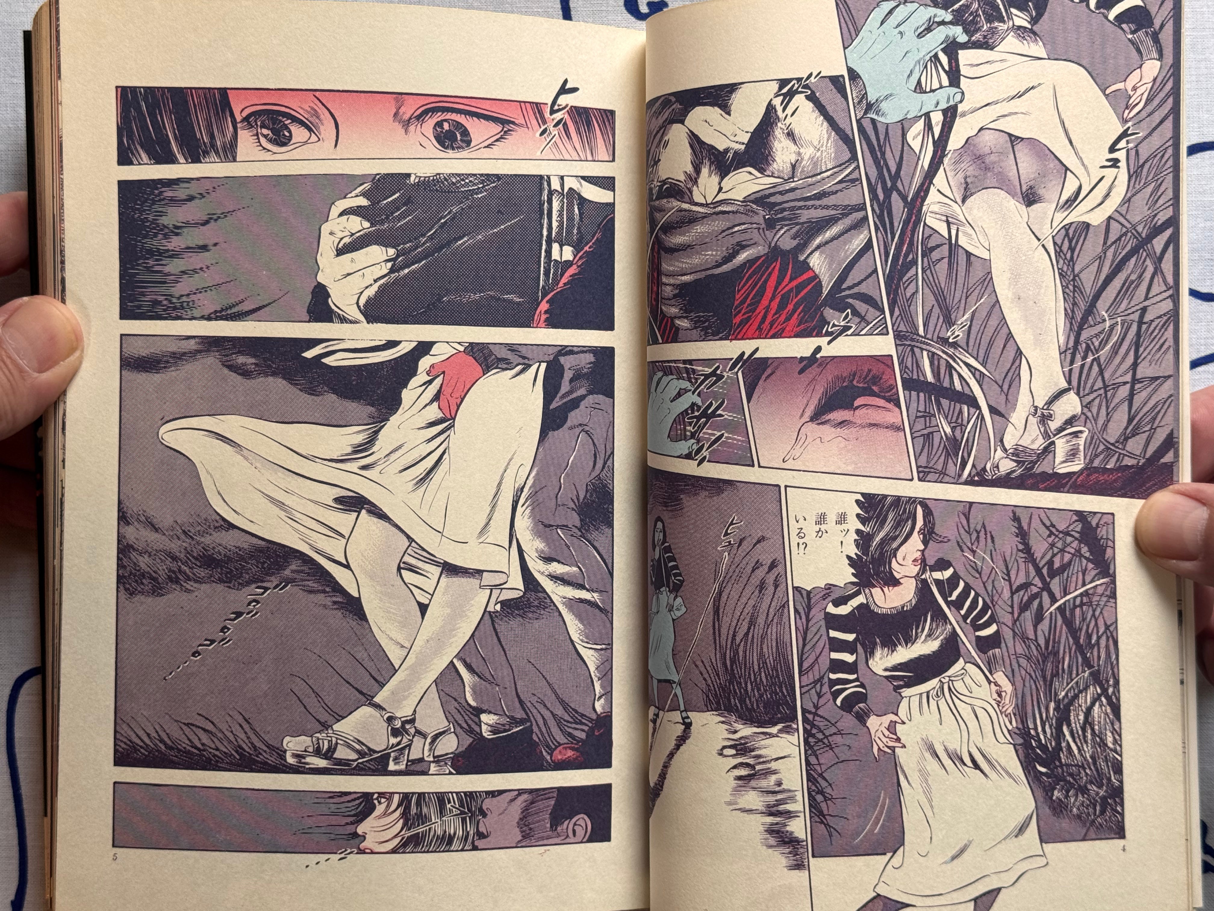 Illumination by Takashi Ishii (1980)-thumbmail-5