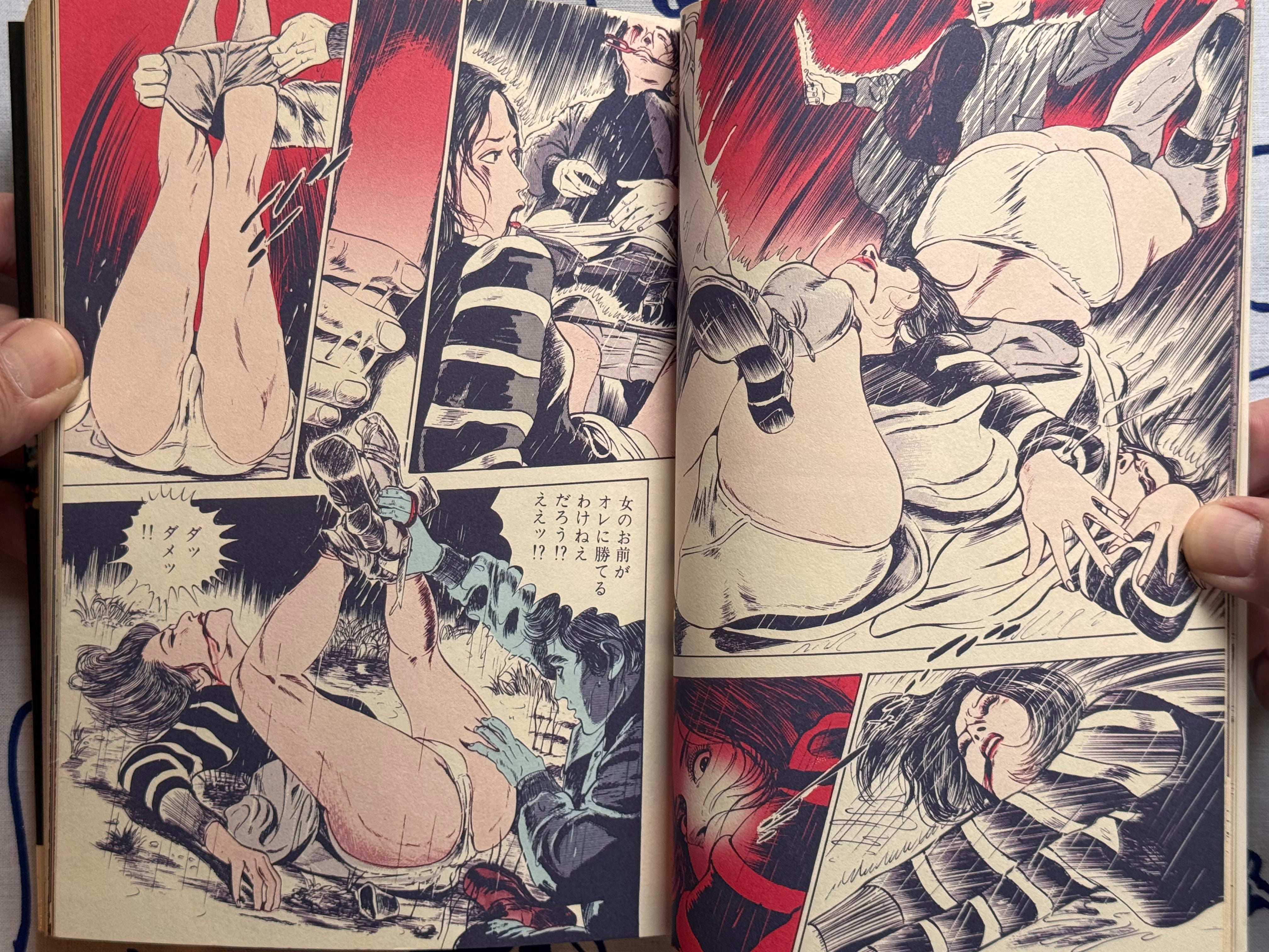Illumination by Takashi Ishii (1980)-thumbmail-7