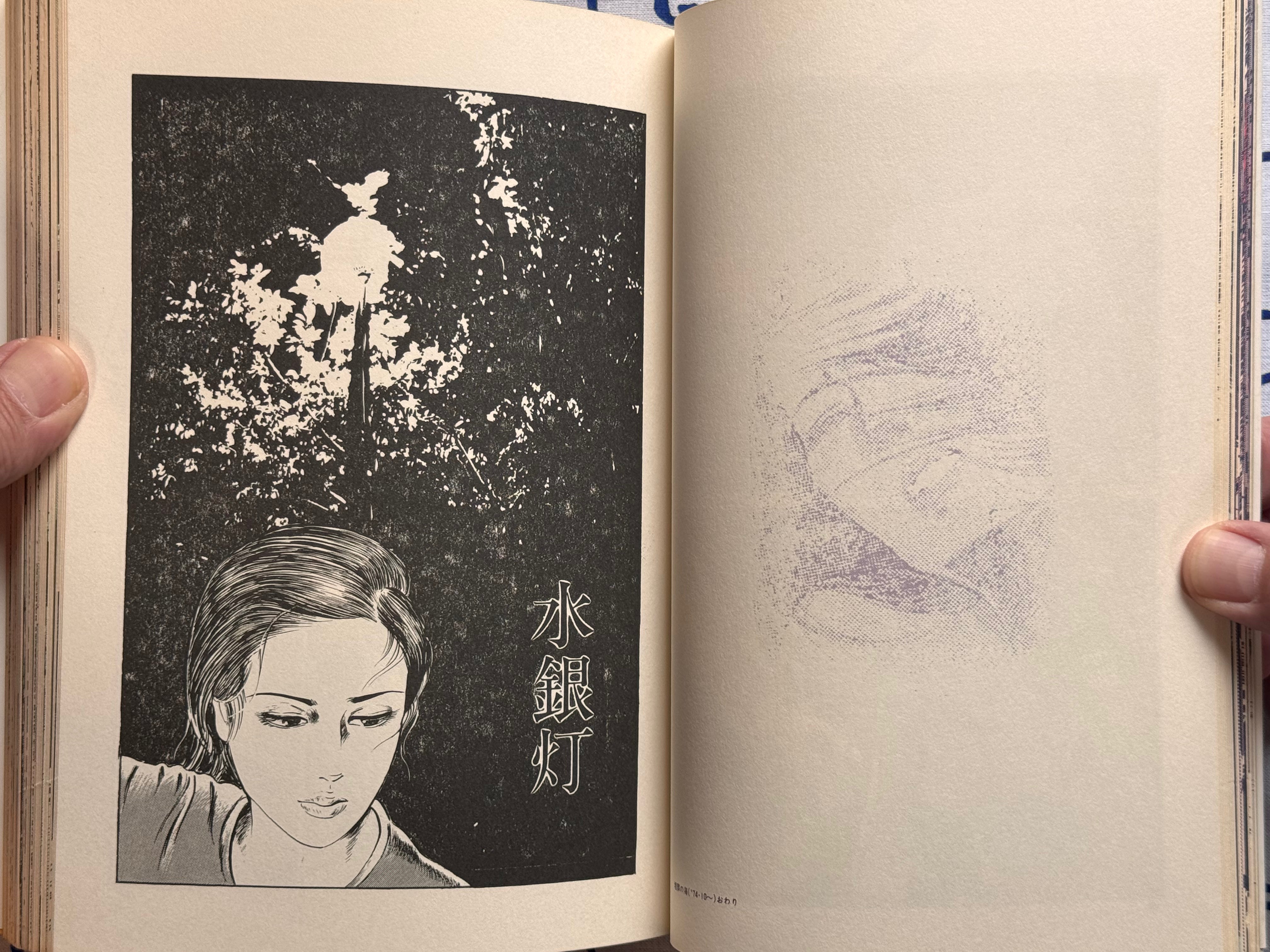 Illumination by Takashi Ishii (1980)-thumbmail-11