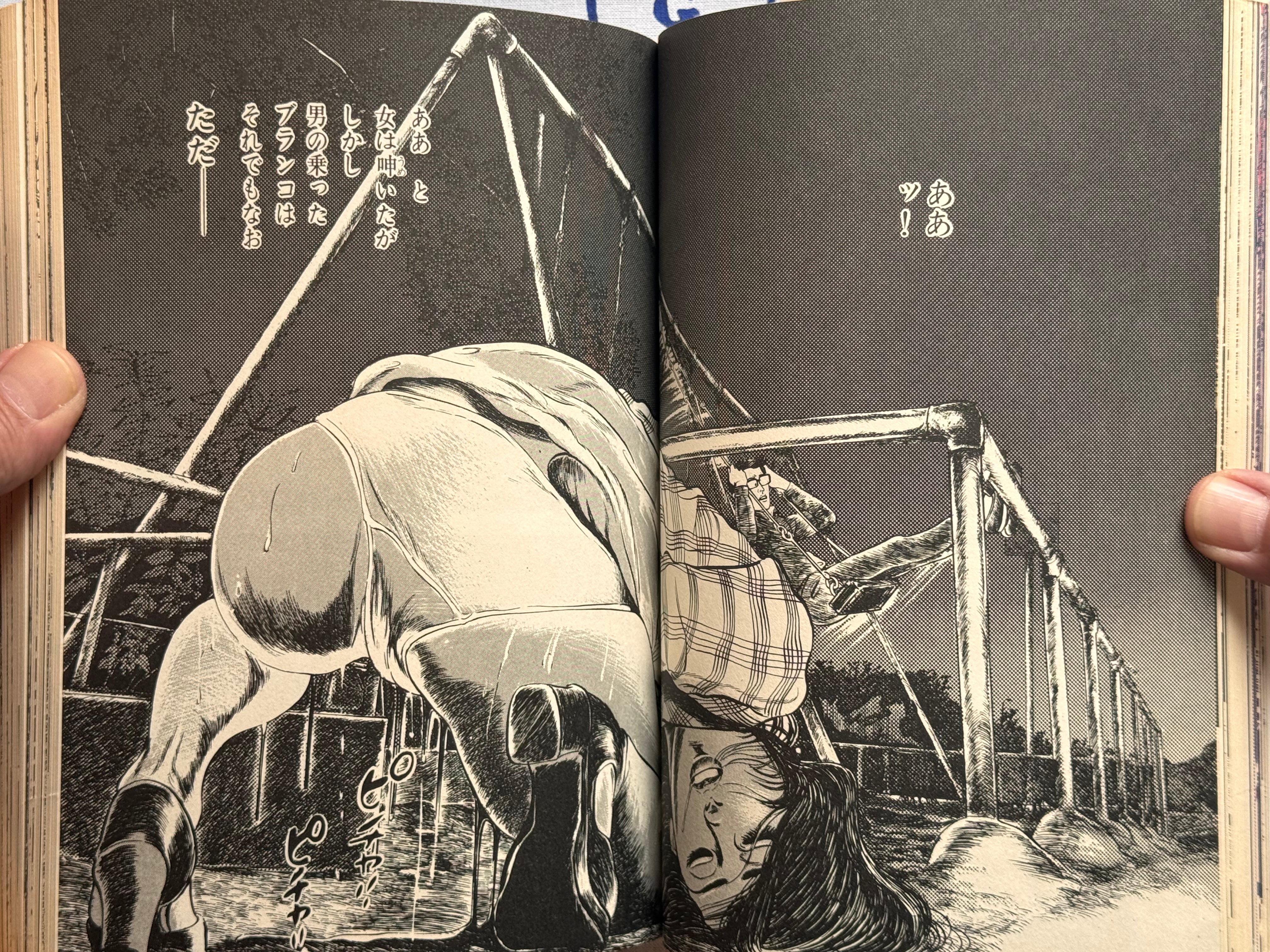 Illumination by Takashi Ishii (1980)-thumbmail-16