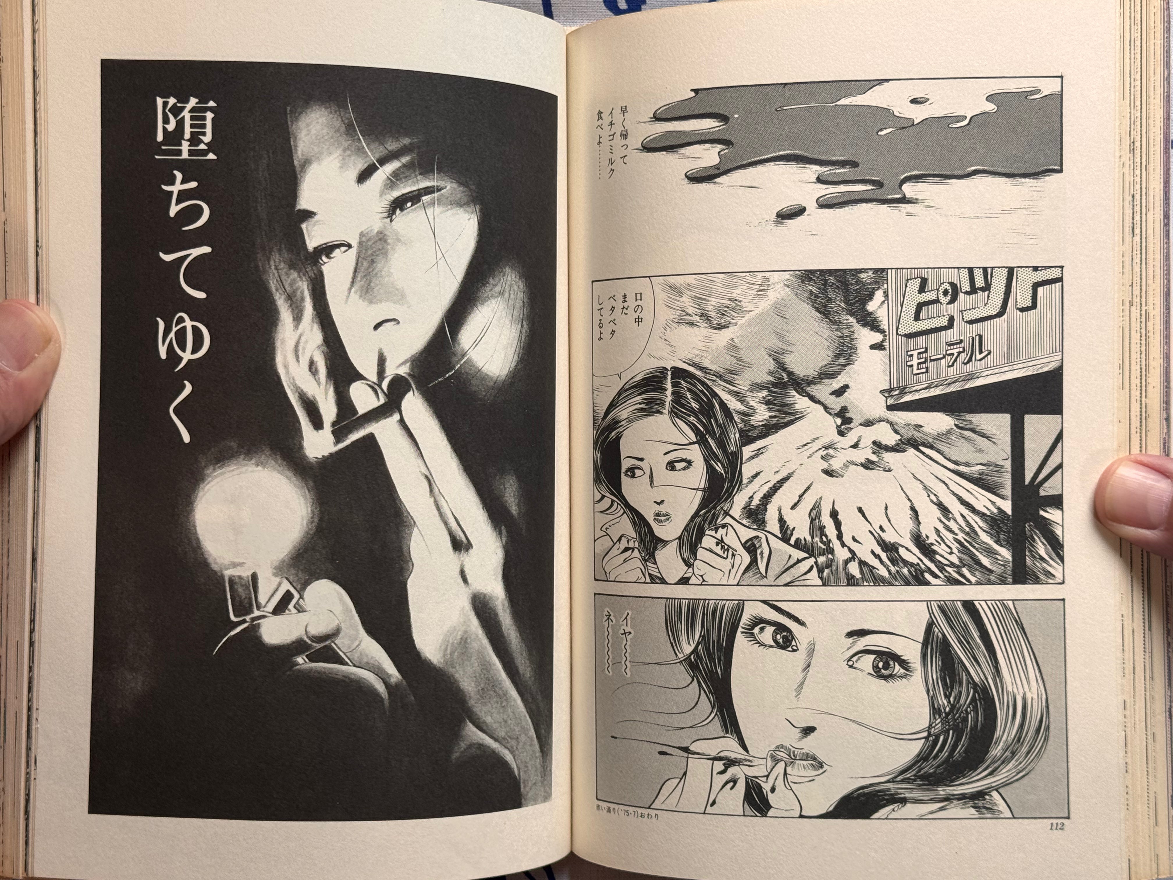 Illumination by Takashi Ishii (1980)-thumbmail-20
