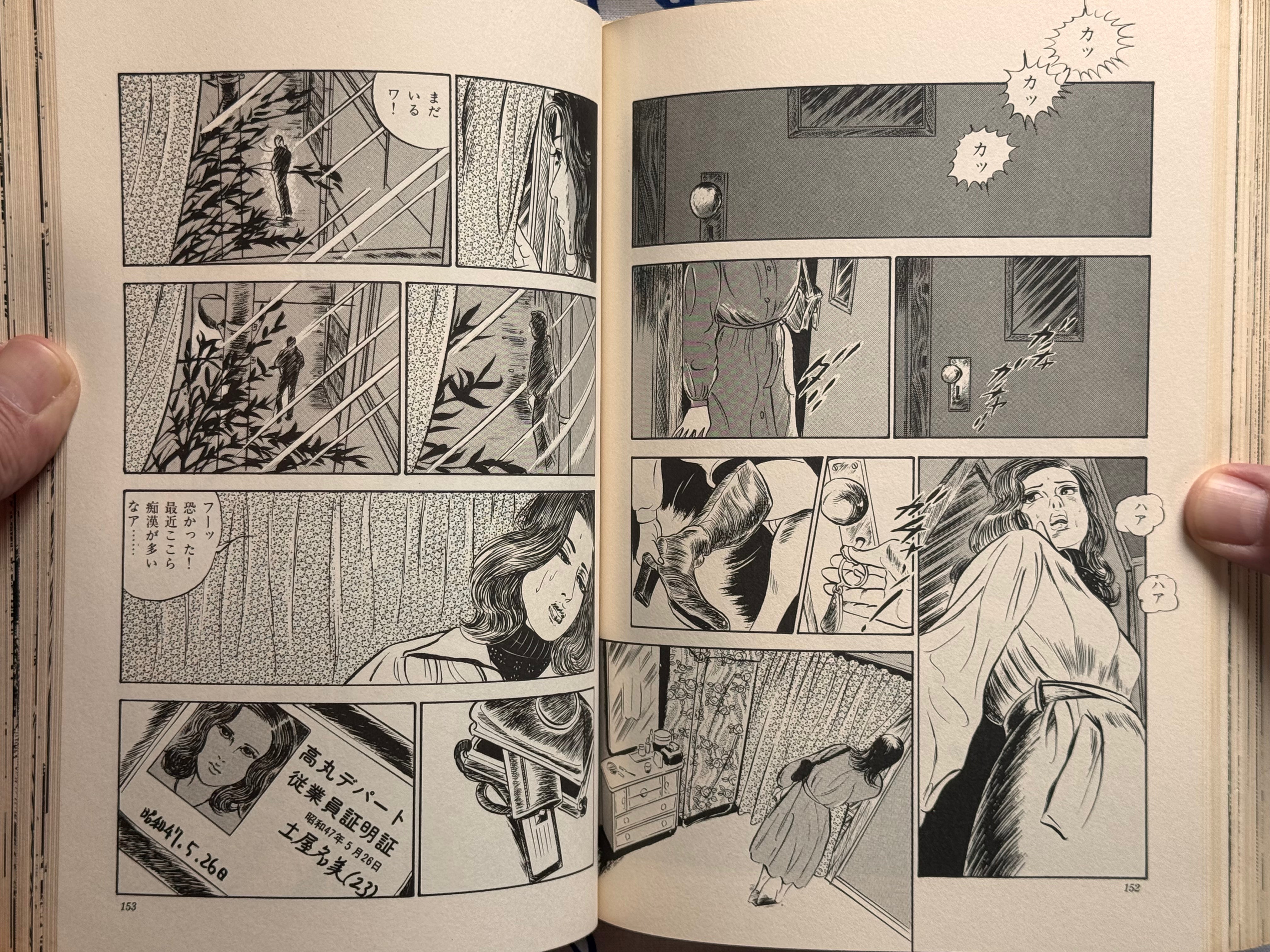 Illumination by Takashi Ishii (1980)-thumbmail-24