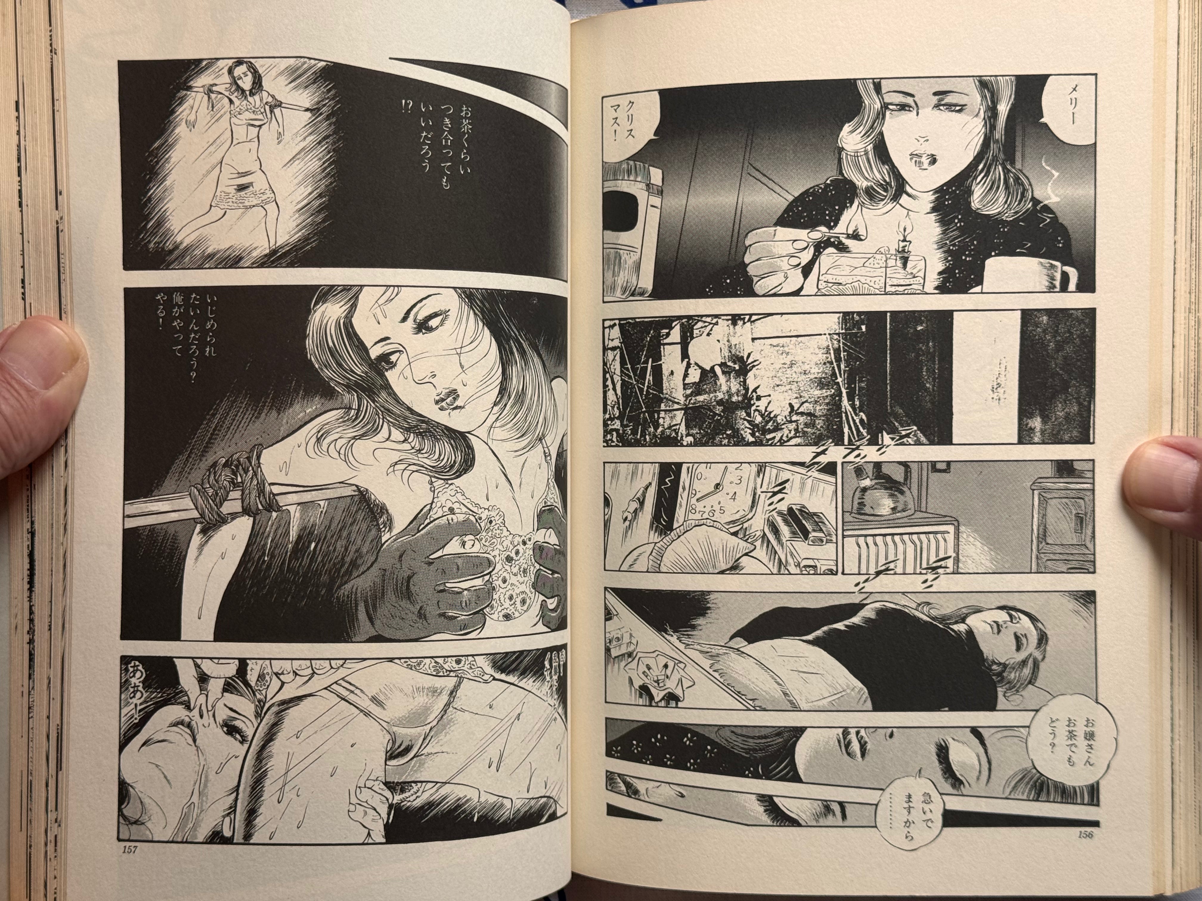 Illumination by Takashi Ishii (1980)-thumbmail-25
