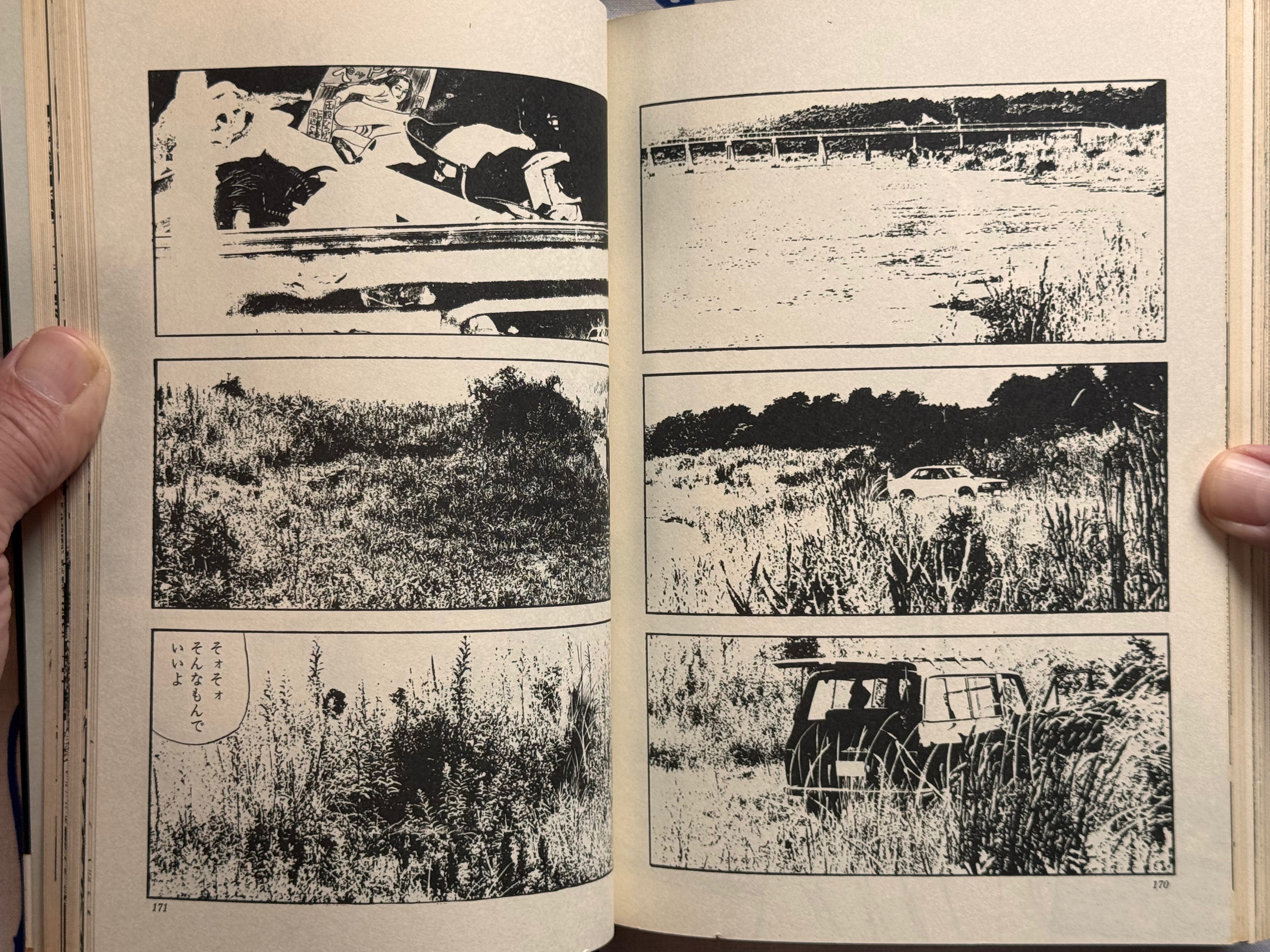 Illumination by Takashi Ishii (1980)-thumbmail-26