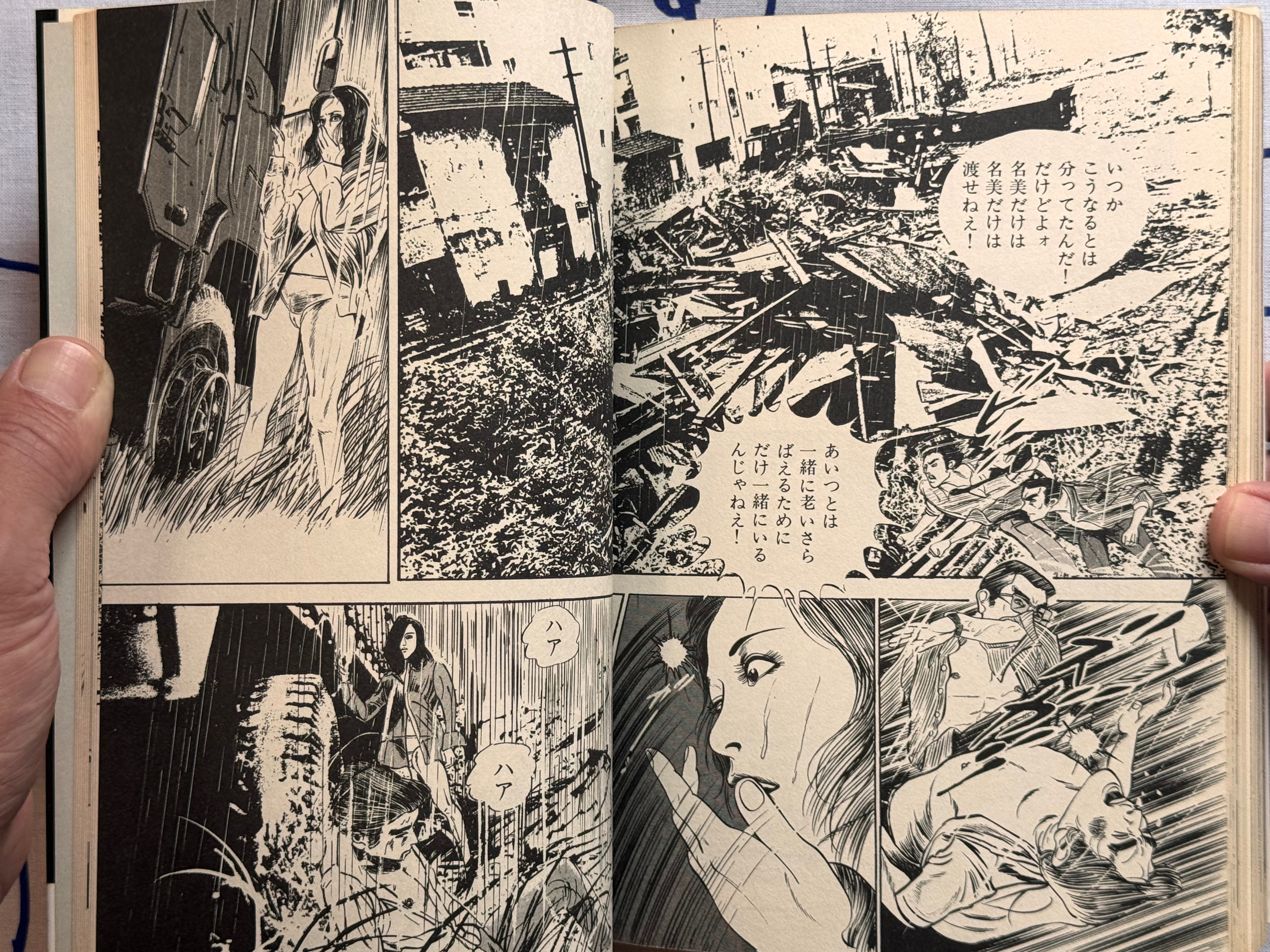 Illumination by Takashi Ishii (1980)-thumbmail-28