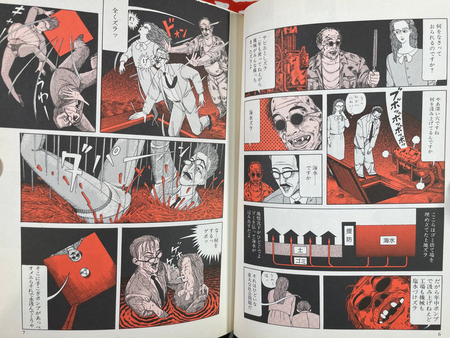 Hiyapaka by Hajime Yamano (1996)